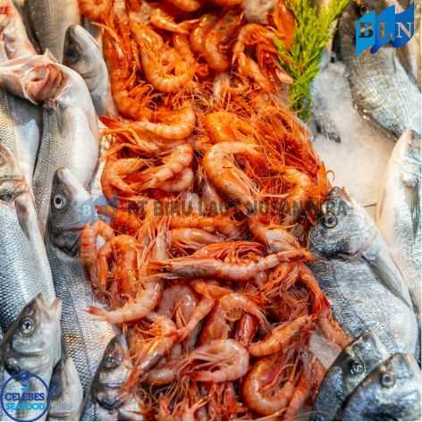 Exploring the Most Profitable Fish Species in Indonesia’s Fishing Industry